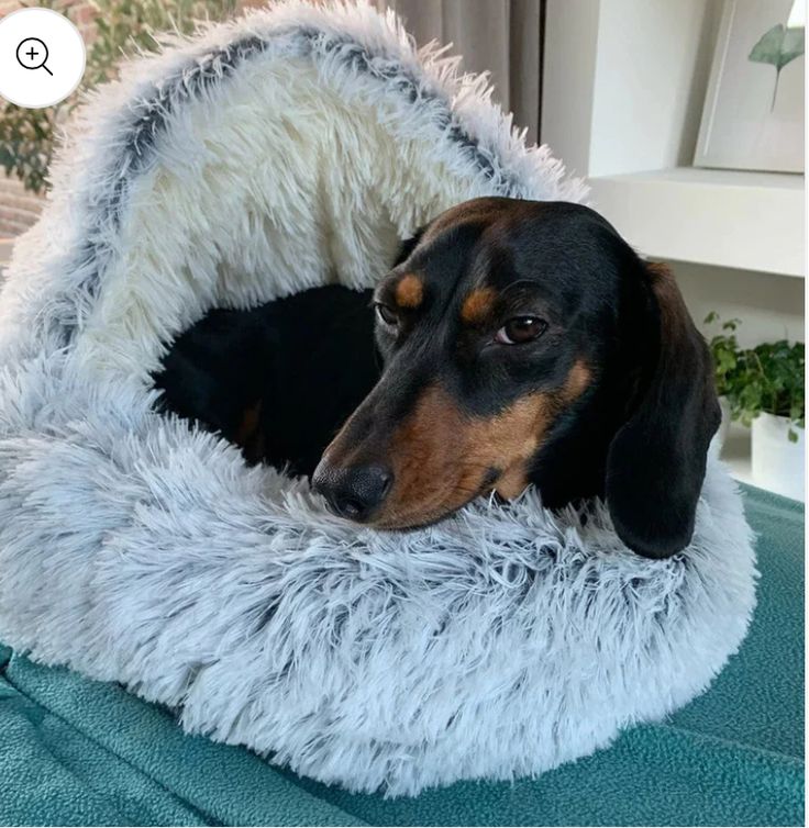 Faux-fur calming nest, designed to reduce stress and improve sleep for your furry friend