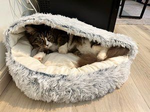 Faux-fur calming nest, designed to reduce stress and improve sleep for your furry friend